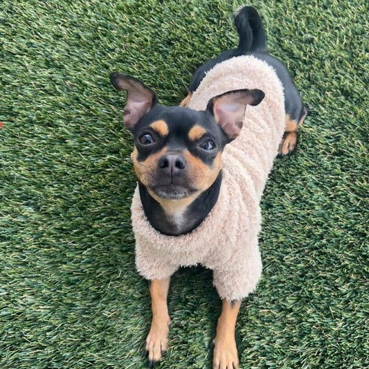 Plush Cloud Sweater