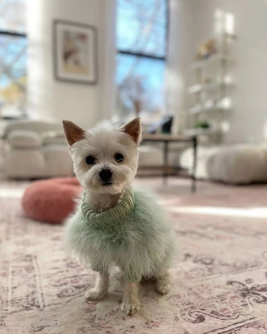 Fashionista Fluffy Dog Sweater