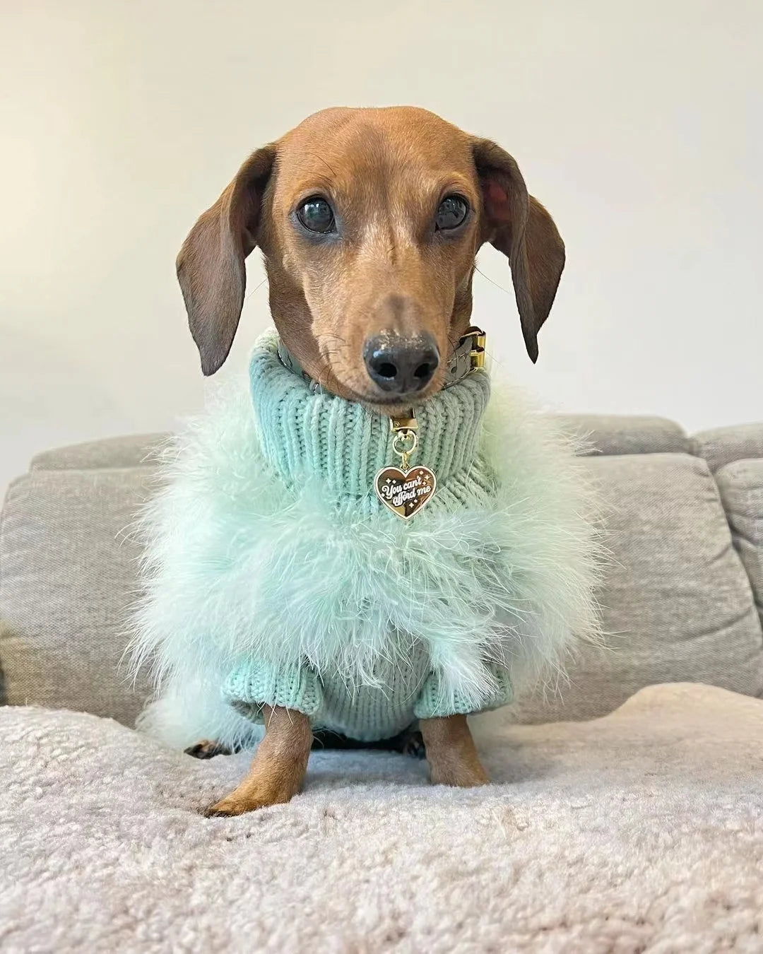 Fashionista Fluffy Dog Sweater