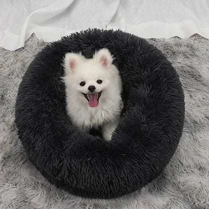 Cozy Amigos Anti-Anxiety Dog Bed