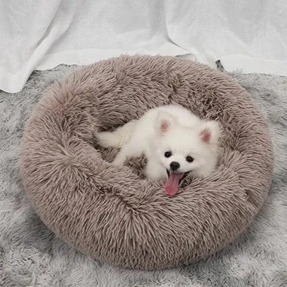 Cozy Amigos Anti-Anxiety Dog Bed