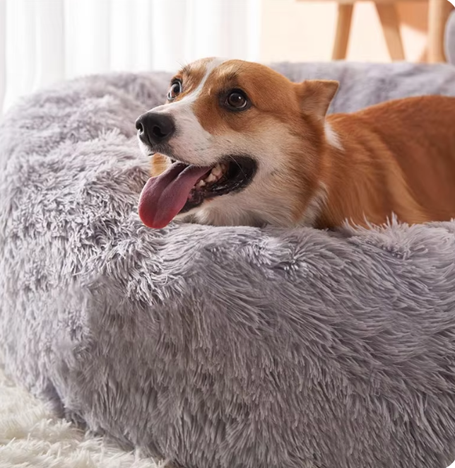 Cozy Amigos Anti-Anxiety Dog Bed