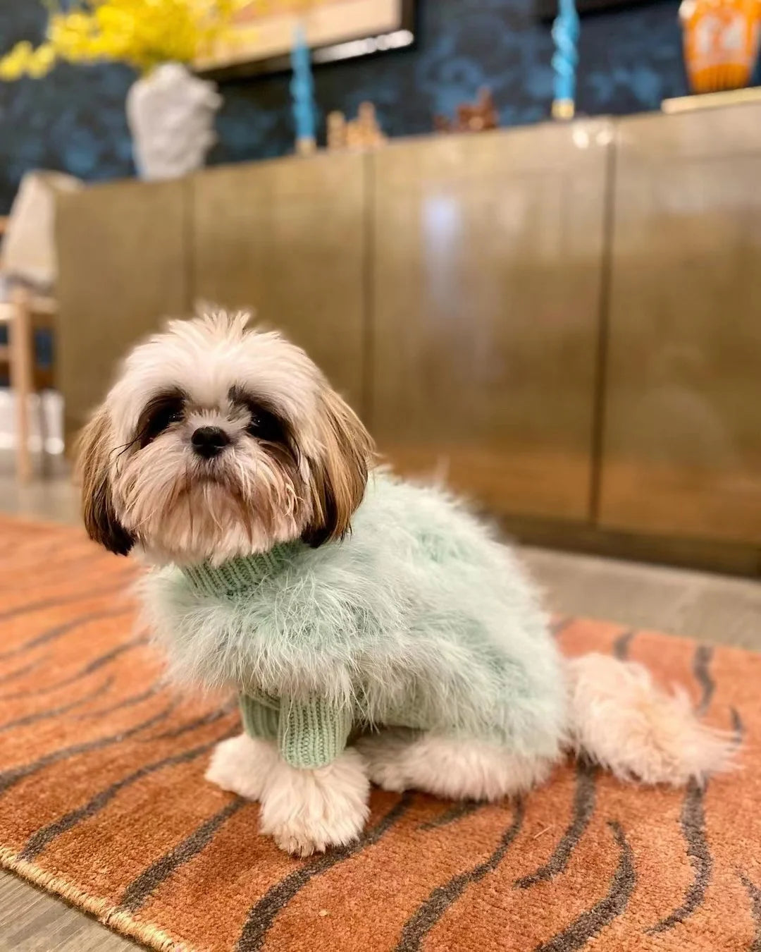 Fashionista Fluffy Dog Sweater