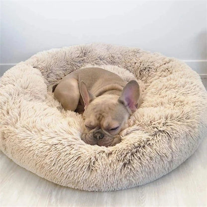 Cozy Amigos Anti-Anxiety Dog Bed