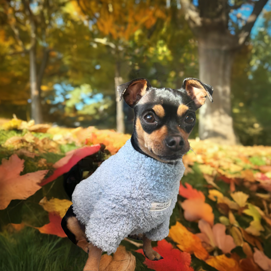 Plush Cloud Sweater